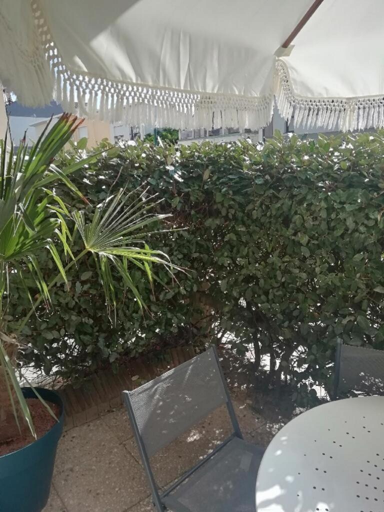 קוק T3 Rez-De-Chaussee Lumineux Avec Terrasse Proche Plage מראה חיצוני תמונה